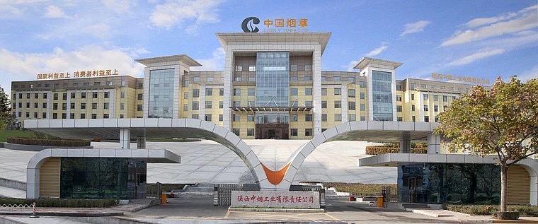 又中標(biāo)啦！快來看！
